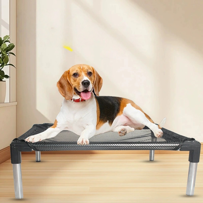 Cooling Liqued Dog Bed - ยกสํา - Outdoor Daybed Sofa บทวิจารณ์และราคา